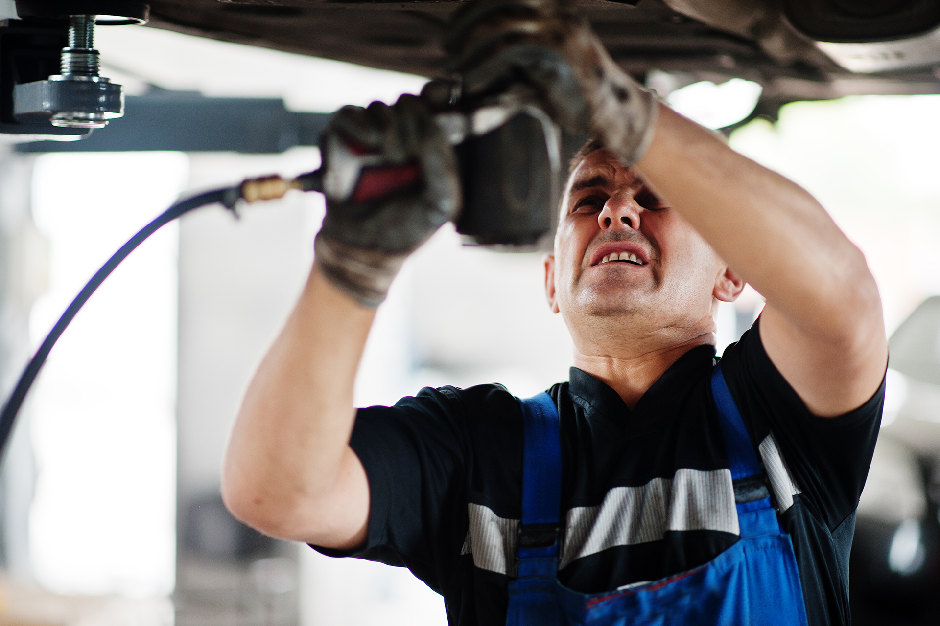 European car specialists